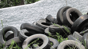 dengue-focos-300x168.gif