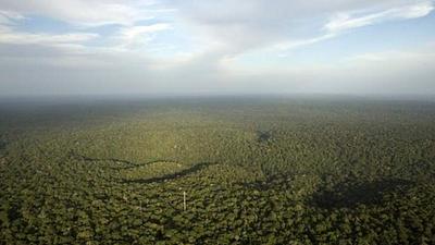 amazonia-2.jpg