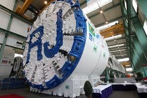 tatuGRANDE.jpg