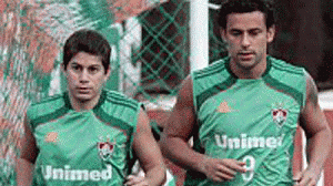Flu_edit-300x168.gif