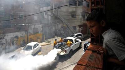 dengue.jpg