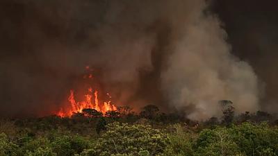 BRASILINCENDIOS.jpg