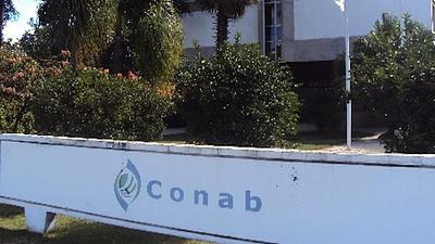 conab.jpg