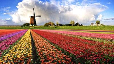 holanda.jpg