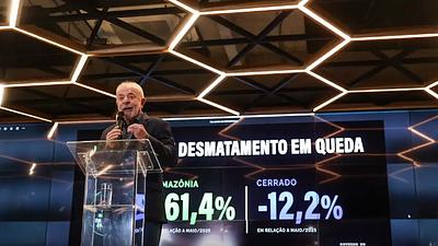 lulameioambiente.jpg
