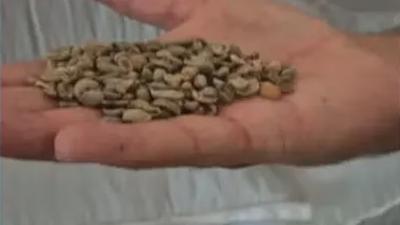 cafeadulterado-.jpg