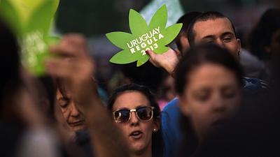 maconha.jpg