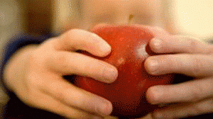 alimento-ciranca-300x168.gif
