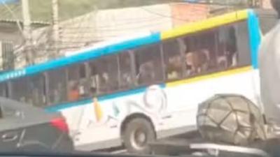 onibus.jpg