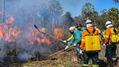 fogopantanal.jpg