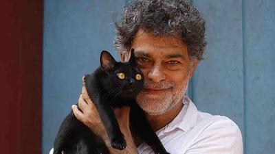 gato.jpg