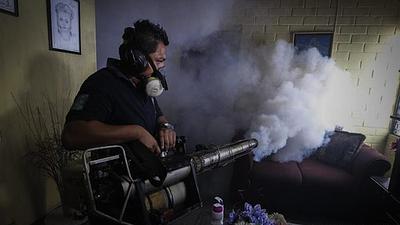 zika-4.jpg
