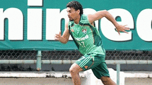 araujo-flu-300x168.gif