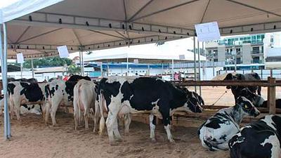 feira.jpg