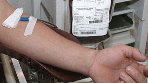 sangue1-300x168.gif