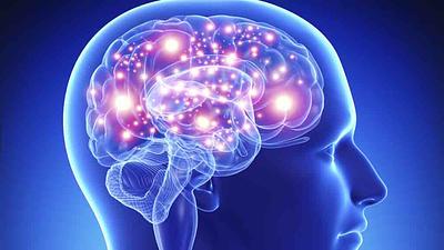 cerebro.jpg