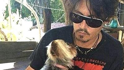 johnnydepp.jpg