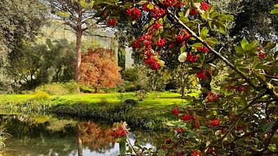 jardim.jpg