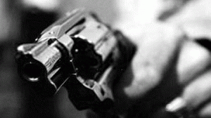 arma2-300x168.gif