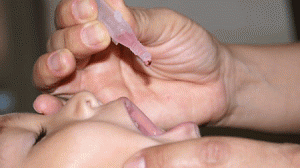vacina-polio-300x168.gif