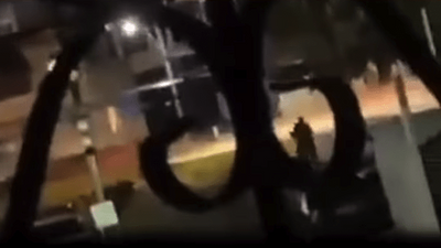 criminosos.png