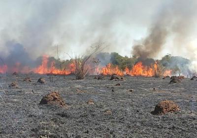 incendio.jpg