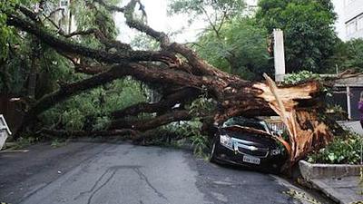 chuvasp.jpg