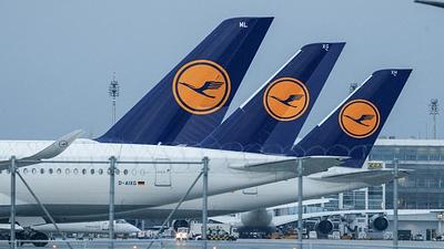 grevevoo.jpg
