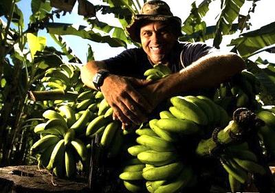 alimentacao.jpg