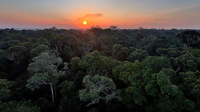 meioambiente.jpg