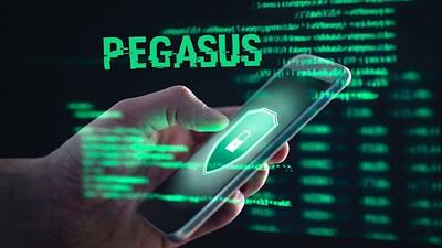 pegasus.jpeg