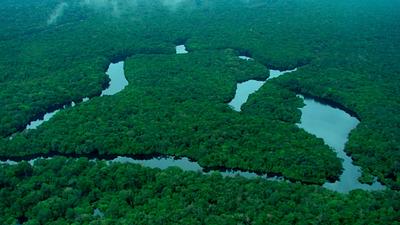 amazonia.jpg