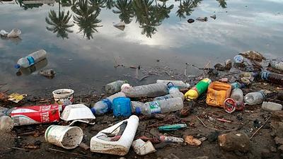 meioambiente-1.jpg