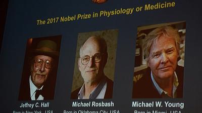 nobel.jpg