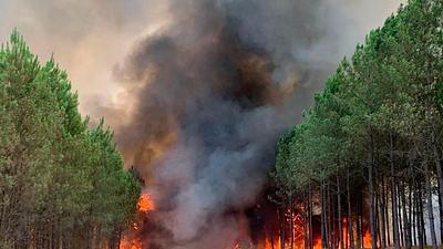 incendiofranca.jpg