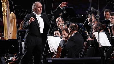 maestro.jpg