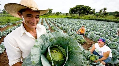 agricultura-familiar.jpg