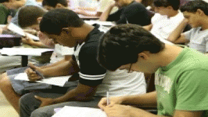 sisu-prova-300x168.gif