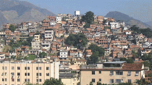 macacos2-300x168.gif