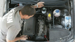 Detran-Vistoria-300x191-300x168.gif
