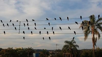 fotografia.jpg