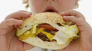 alimentacao-300x168.gif