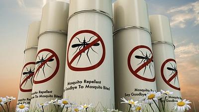 zika-2.jpg