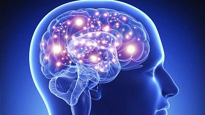 cerebro.jpg