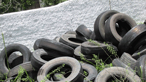 dengue-focos-300x168.gif