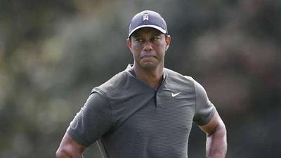 tiger.jpeg