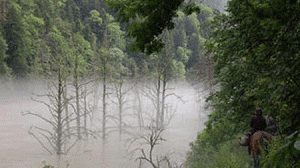 caucaso-300x168.gif