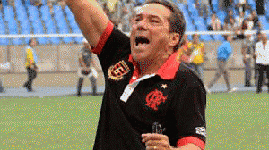 luxa-campeao-300x168.gif