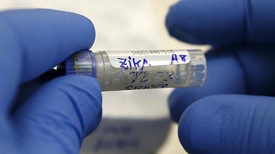 zika.jpg
