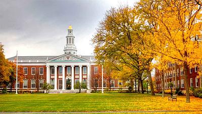 harvard.jpg